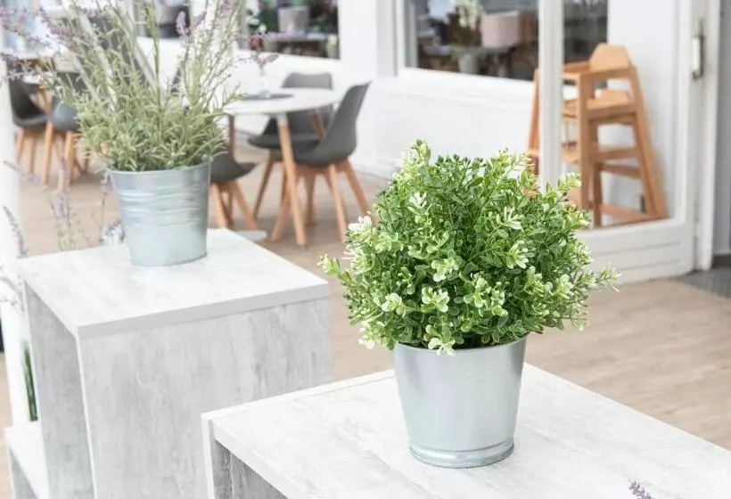 ホテル Zum Alten Fährhaus   Bed & Breakfast