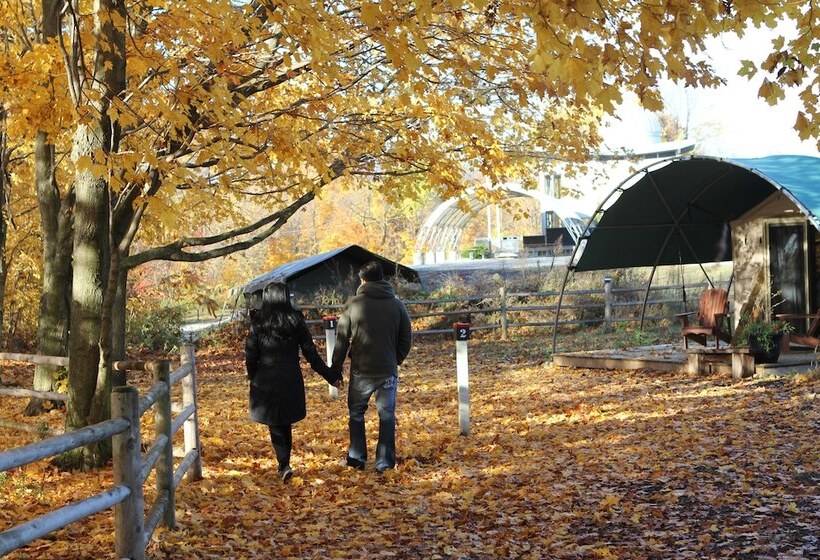 Long Point Eco Adventures