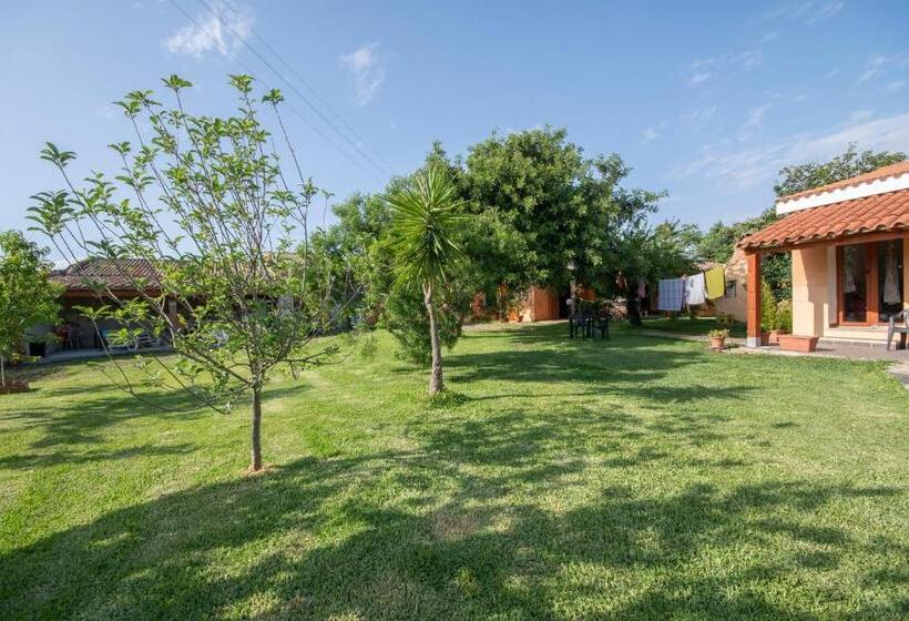 بنسيون Is Cuccus