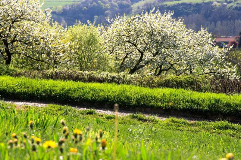 بنسيون La Source Doree