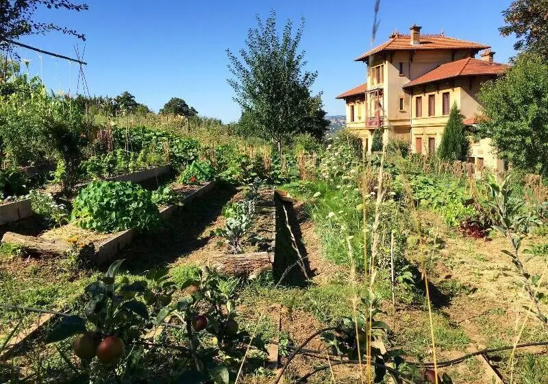 Majatalo La Source Doree