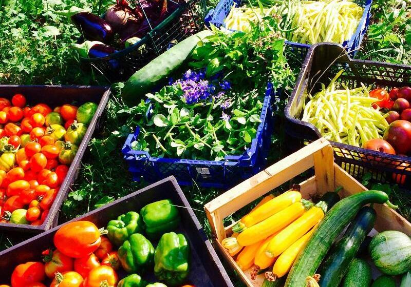 بنسيون La Source Doree