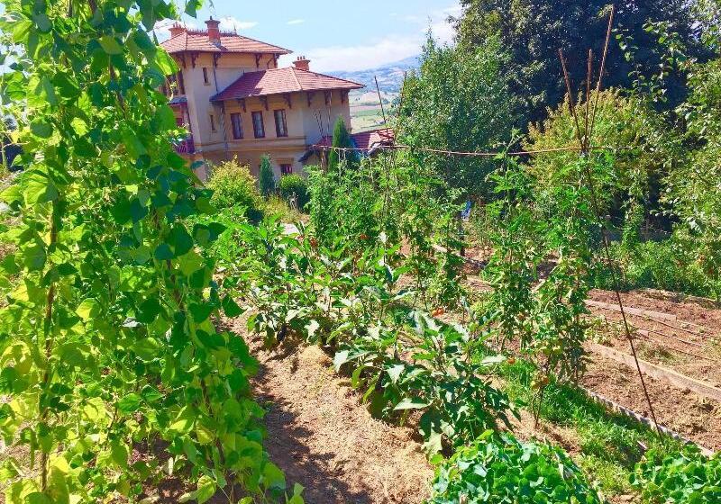 بنسيون La Source Doree