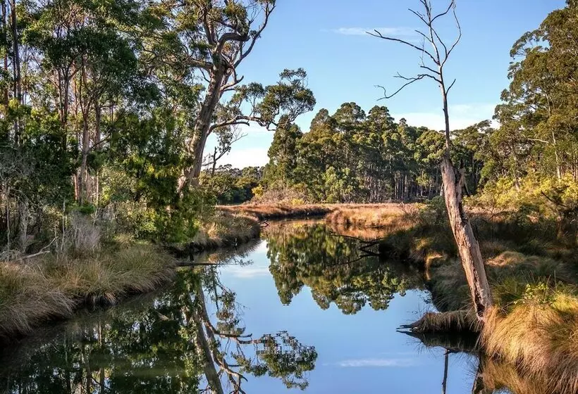 Saintys Creek Cottage