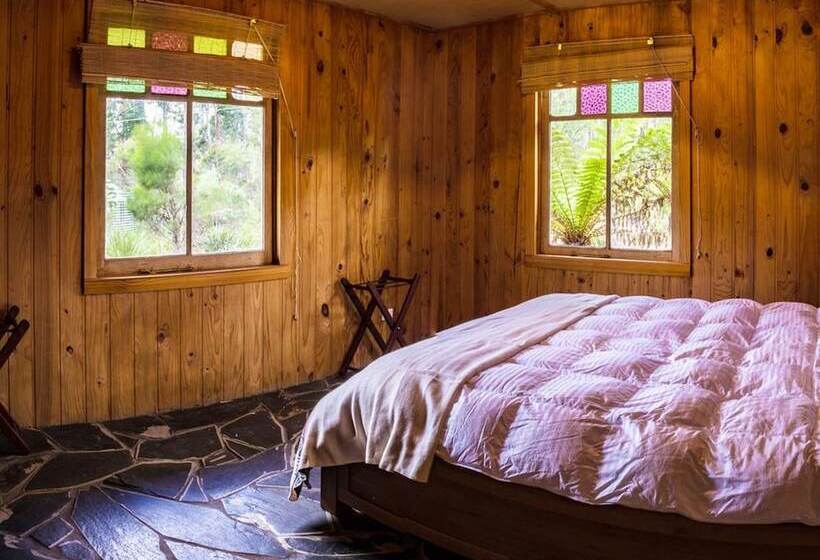 Saintys Creek Cottage