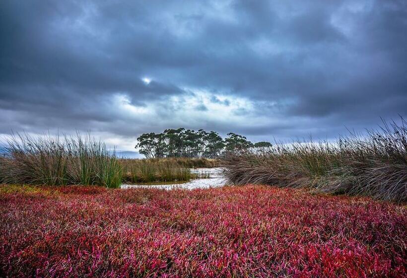 Saintys Creek Cottage