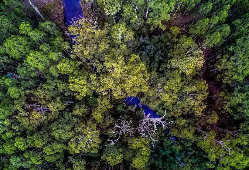 Saintys Creek Cottage