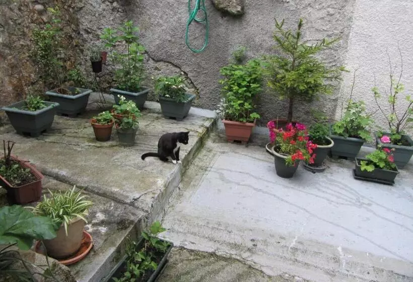 Aamiaismajoitus (B&B) La Maison De Natasha