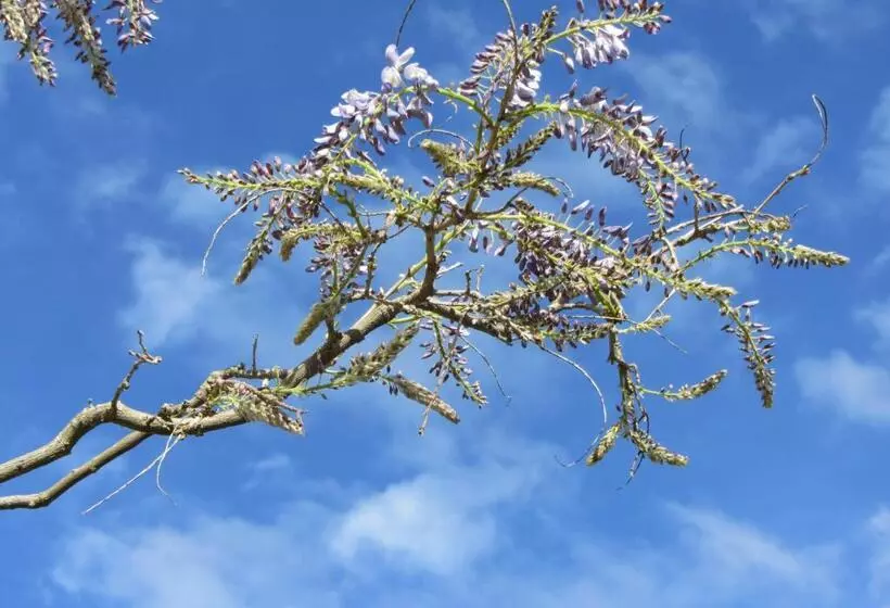 Aamiaismajoitus (B&B) La Maison De Natasha