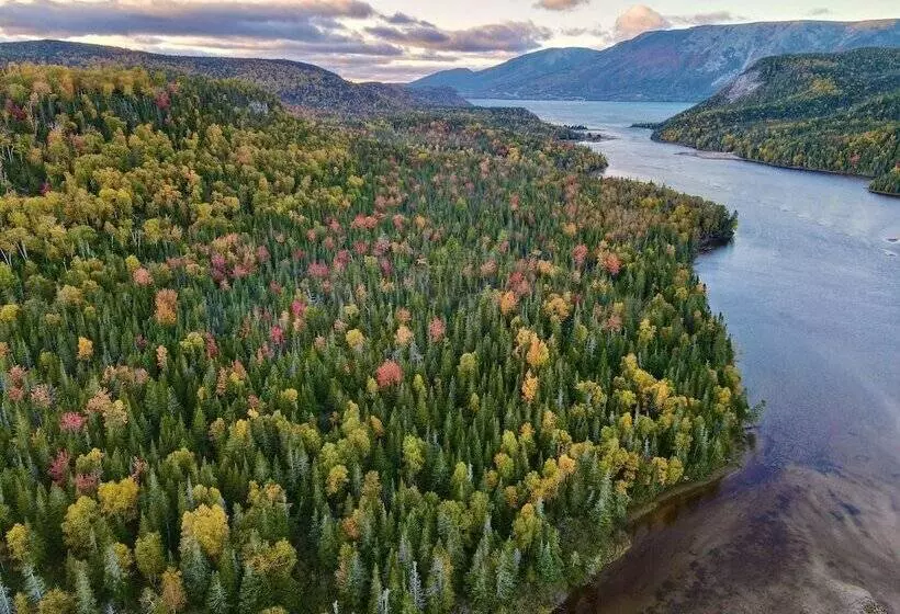 Bonne Bay Cottages