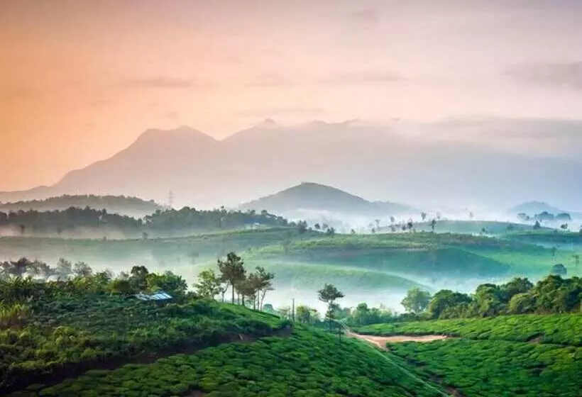 ホテル Grassroots Wayanad, Valley View Tents