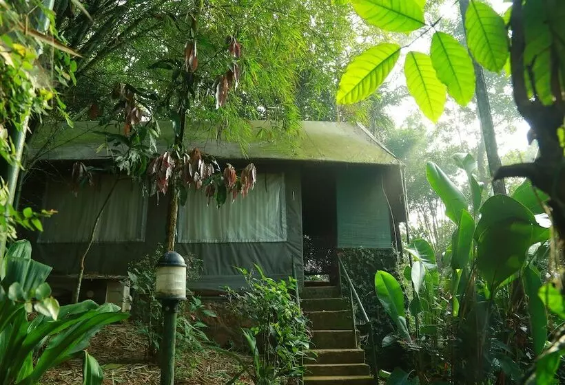 ホテル Grassroots Wayanad, Valley View Tents