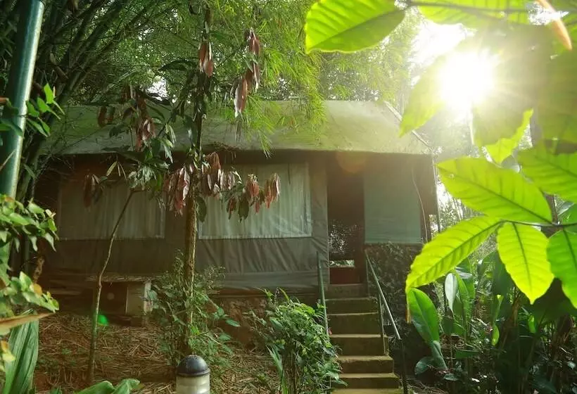 ホテル Grassroots Wayanad, Valley View Tents