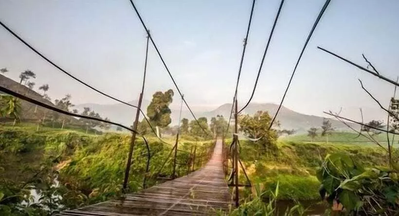 ホテル Grassroots Wayanad, Valley View Tents