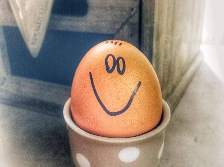 酒店 Haus An Der Südsee