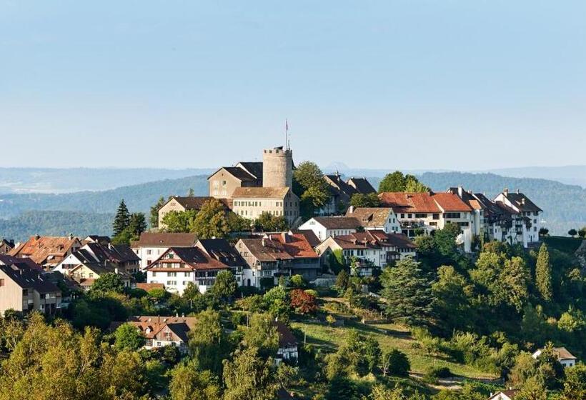 בית מלון כפרי Krone Regensberg