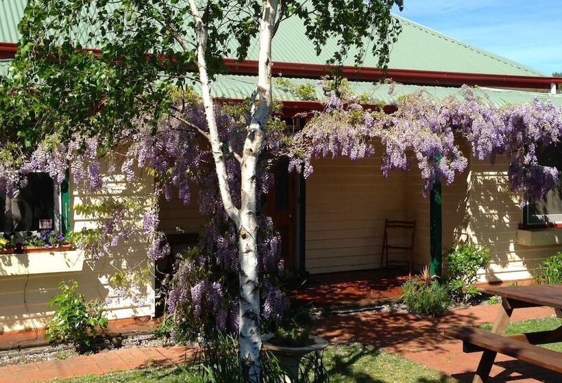 Отель Triabunna Cabin & Caravan Park