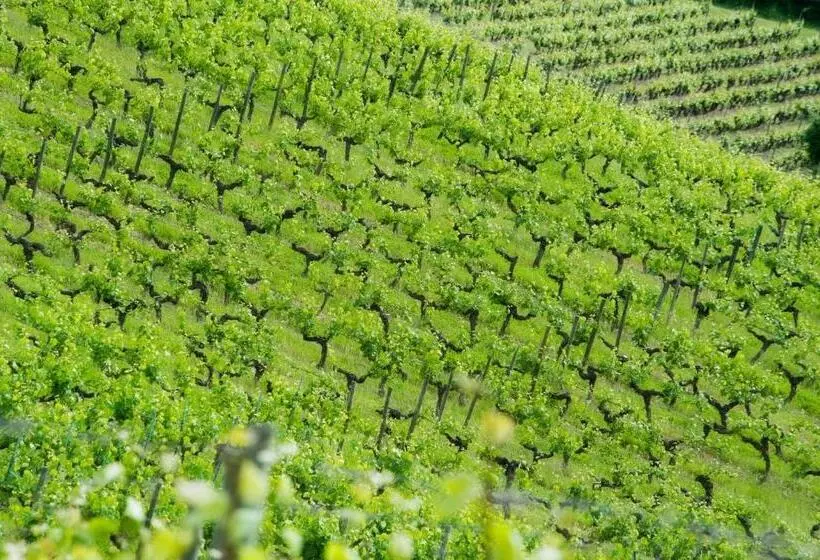 ペンション Domaine De La Soucherie   Chambres D Hôtes