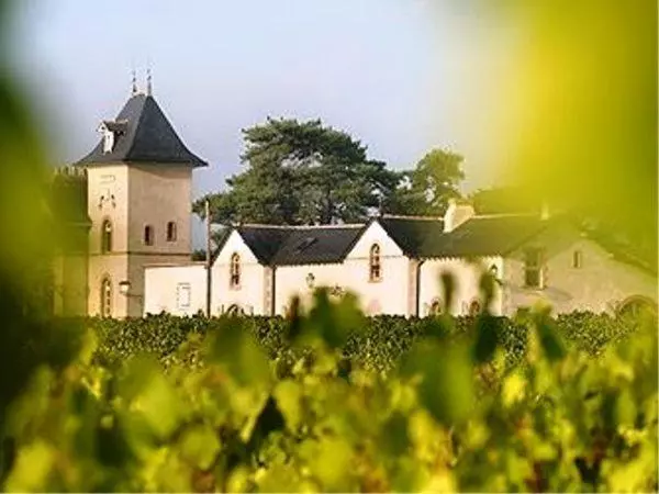 ペンション Domaine De La Soucherie   Chambres D Hôtes