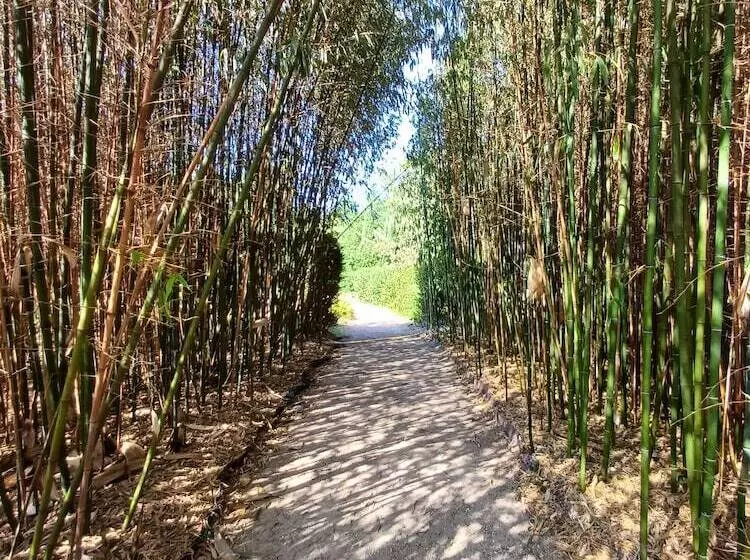 ペンション Puravida  Apparts