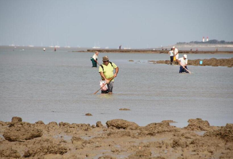 Bed and Breakfast Chambres D Hôtes Le Logis Du Port Paradis
