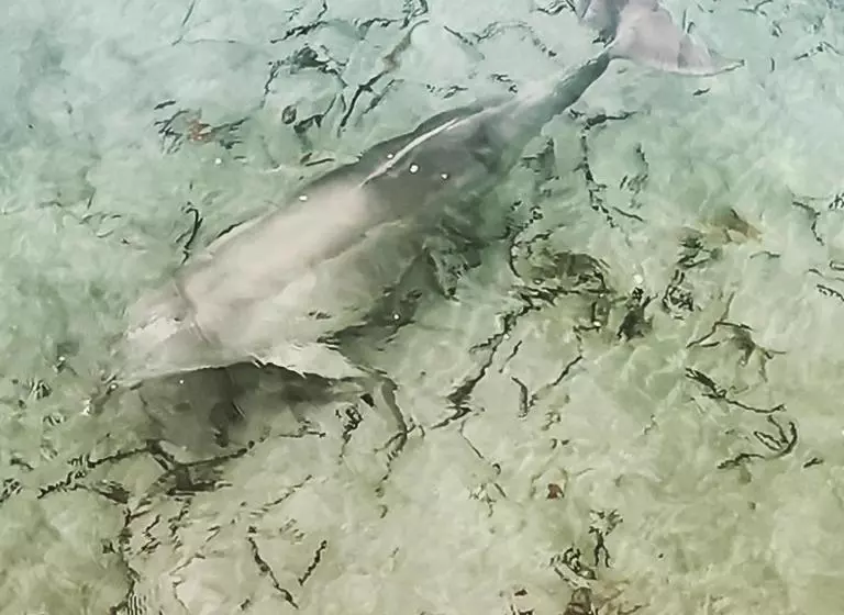 Aamiaismajoitus (B&B) Vagabond Historic