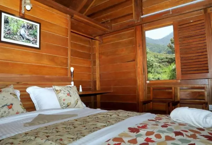 Hotelli Aranya Virasat