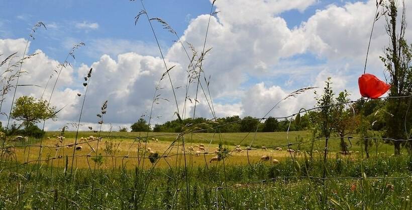 酒店 Chateau De Lacomte