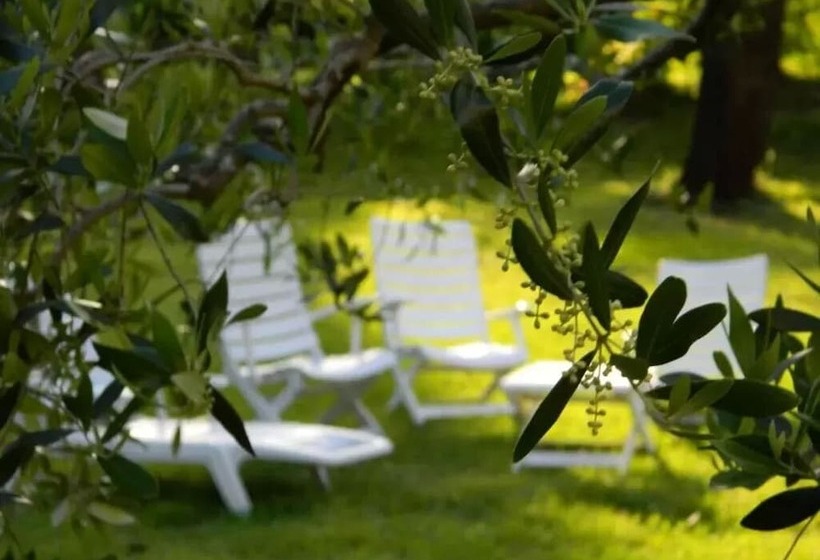 בית מלון כפרי Agriturismo Campo Al Sole