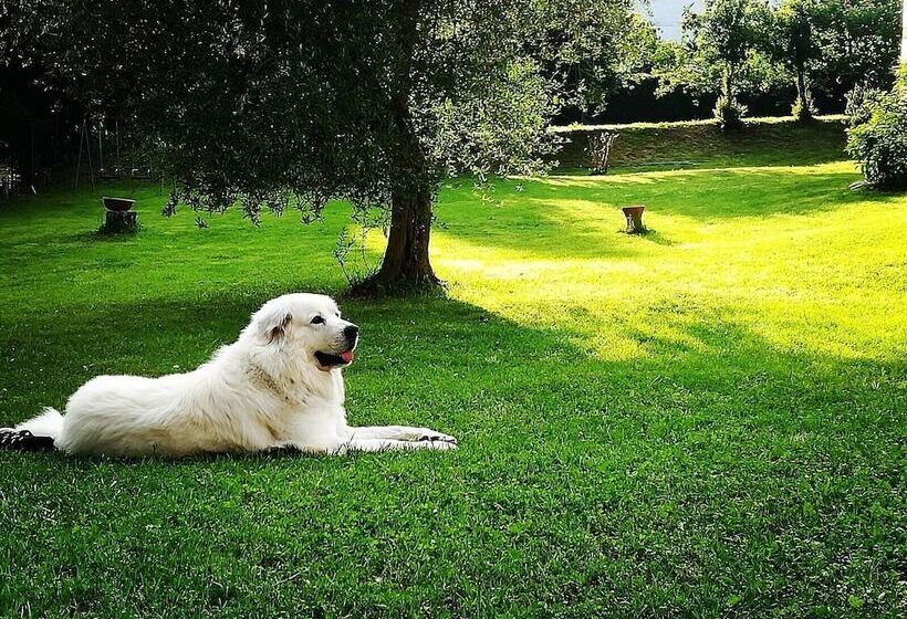 בית מלון כפרי Agriturismo Campo Al Sole