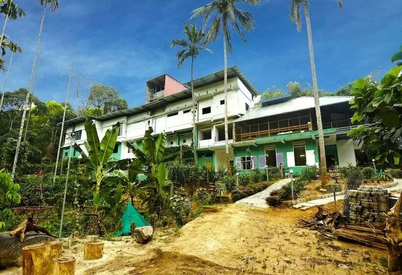 Hotelli Wayanad Royal Stream