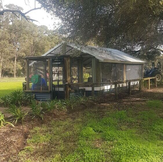 Redtail Ridge Cottages   Adults Only