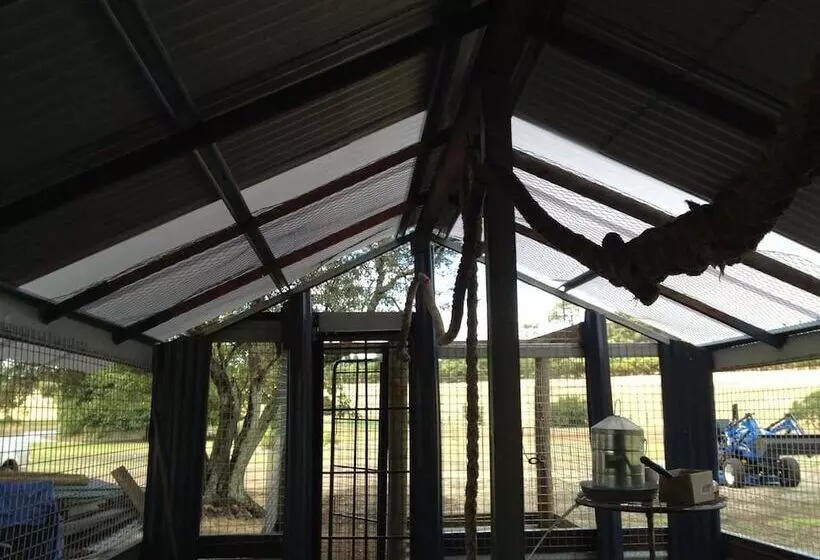 Redtail Ridge Cottages   Adults Only