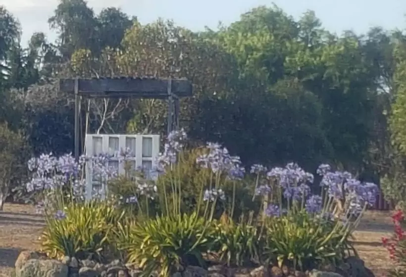 Redtail Ridge Cottages   Adults Only