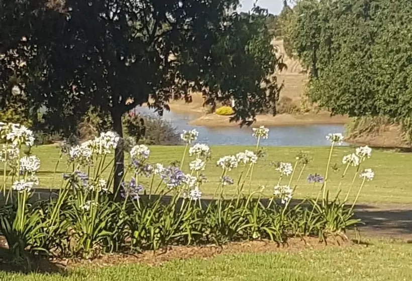 Redtail Ridge Cottages   Adults Only