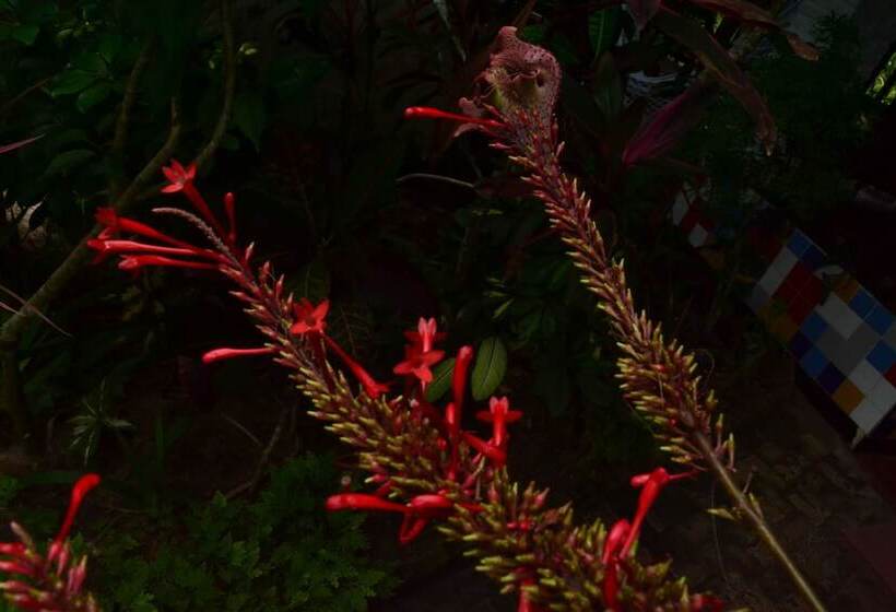 리조트 Village Do Dendê Chalés