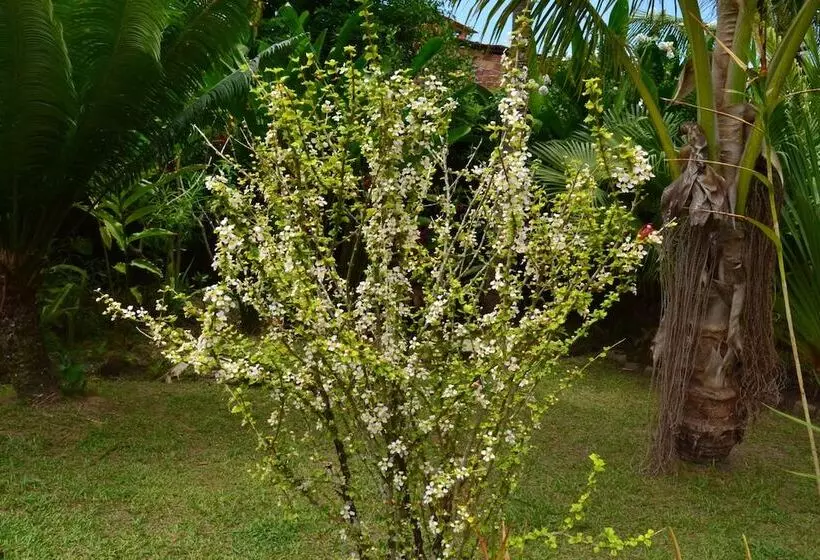 Lomakeskus Village Do Dendê Chalés