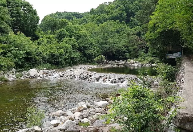 ペンション Muju Haebaragi Hostel