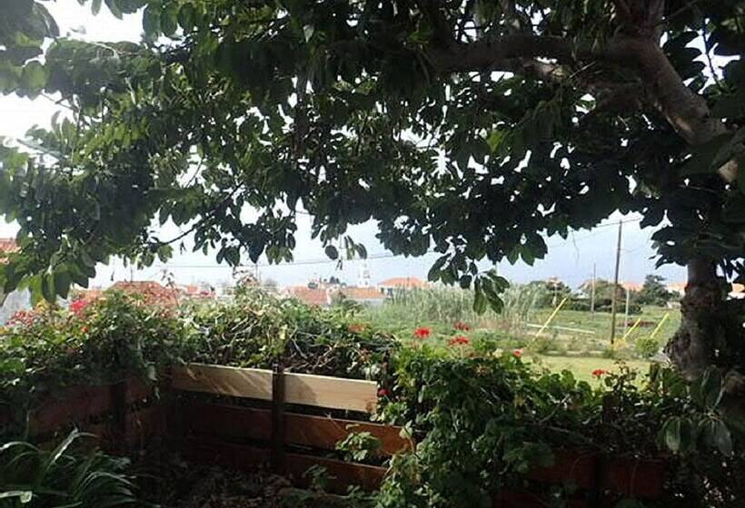 Little Norway Etc Madeira