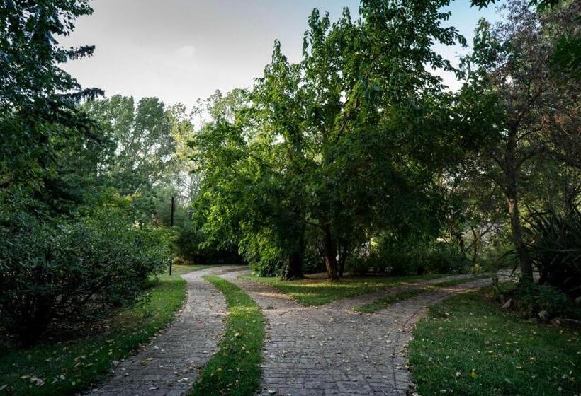 بنسيون Villa Pastorelli