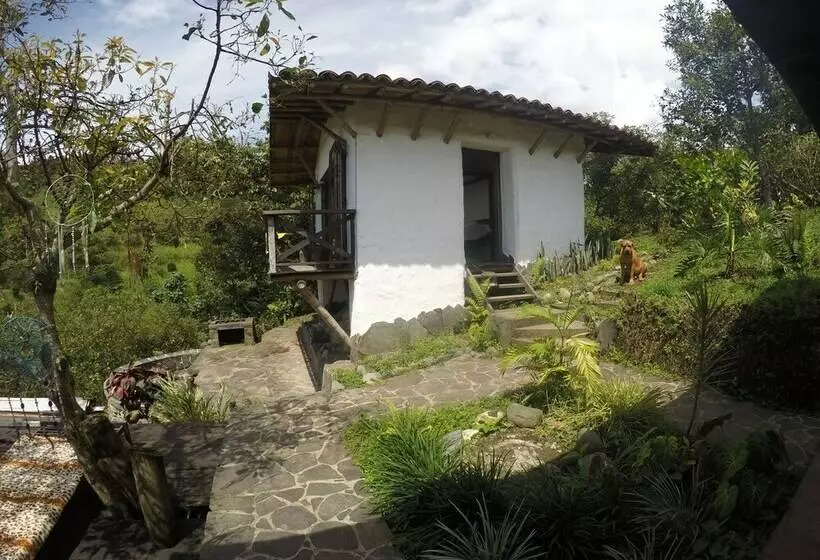 Viga Vieja Cabaña Rustica By Nomad Guru