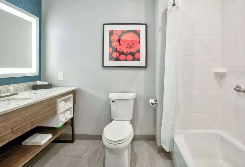 Hotelli La Quinta Inn & Suites By Wyndham Dallas/fairpark