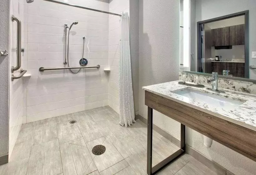 Hotelli La Quinta Inn & Suites By Wyndham Dallas/fairpark