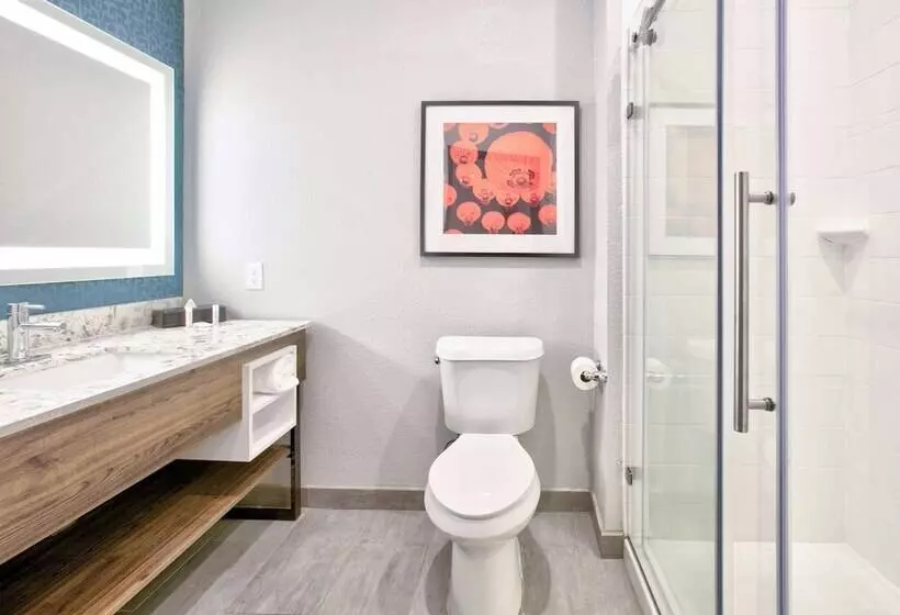 Hotelli La Quinta Inn & Suites By Wyndham Dallas/fairpark