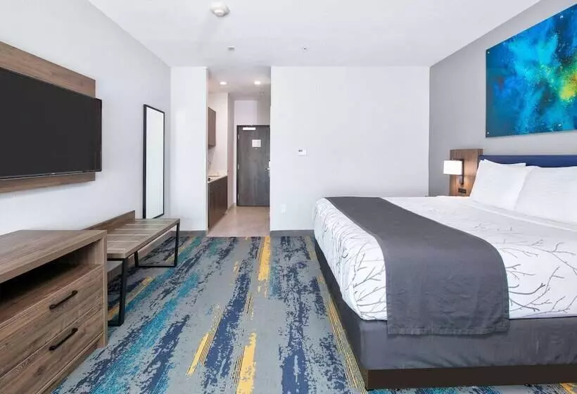 Hotelli La Quinta Inn & Suites By Wyndham Dallas/fairpark