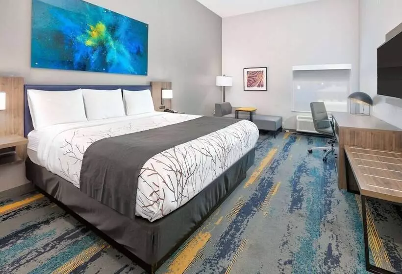 Hotelli La Quinta Inn & Suites By Wyndham Dallas/fairpark