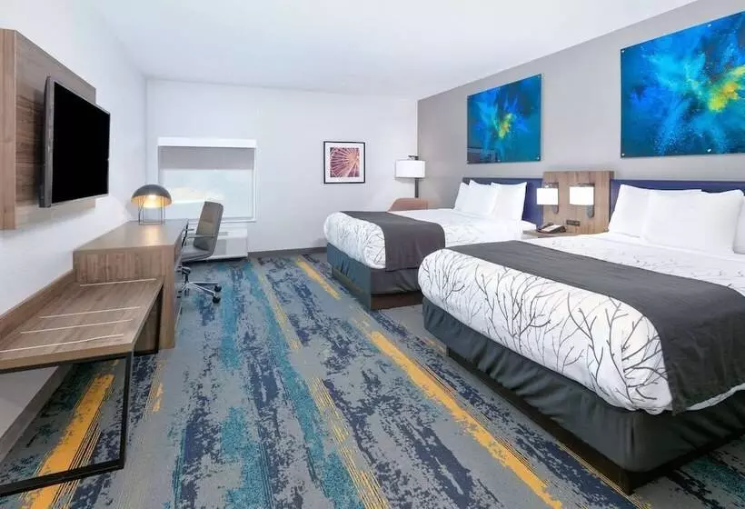 Hotelli La Quinta Inn & Suites By Wyndham Dallas/fairpark