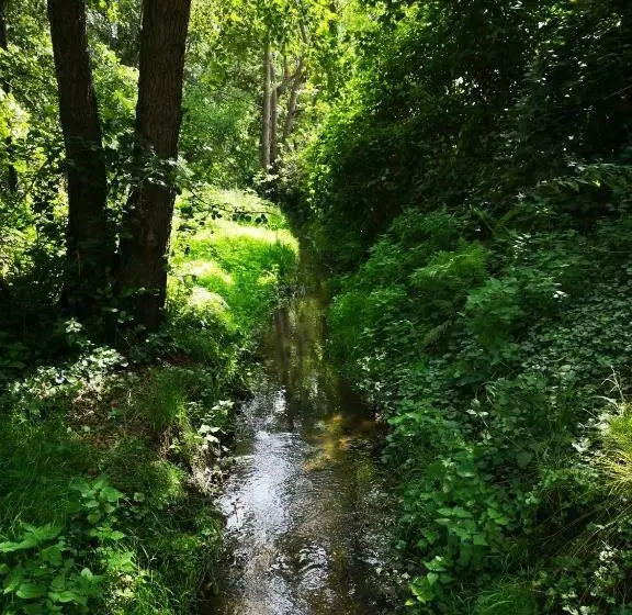 Aamiaismajoitus (B&B) De Eppenbeek