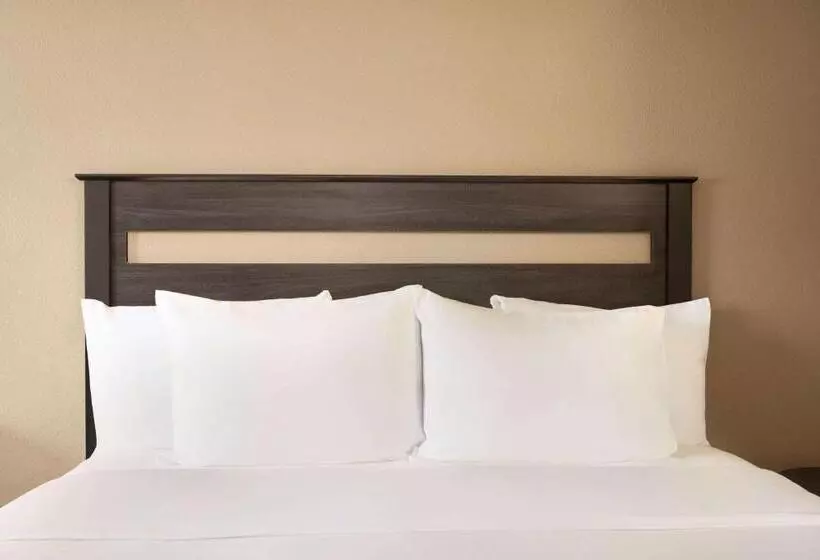 호텔 Baymont By Wyndham Hearne