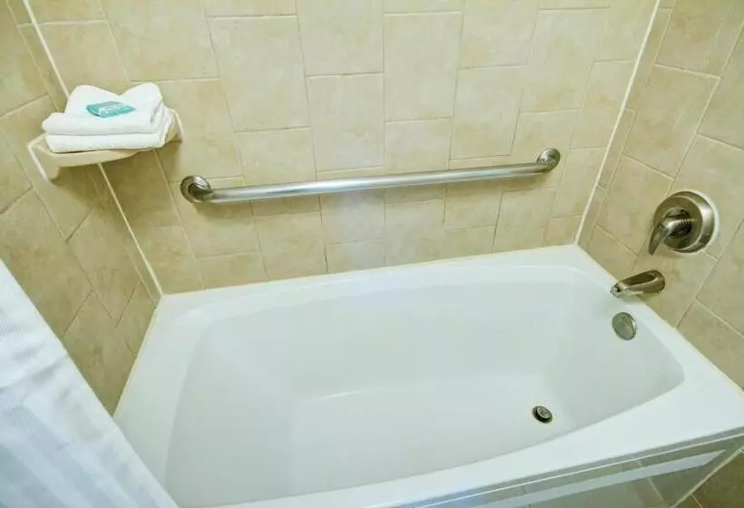 בית מלון כפרי Desert Rose Resort